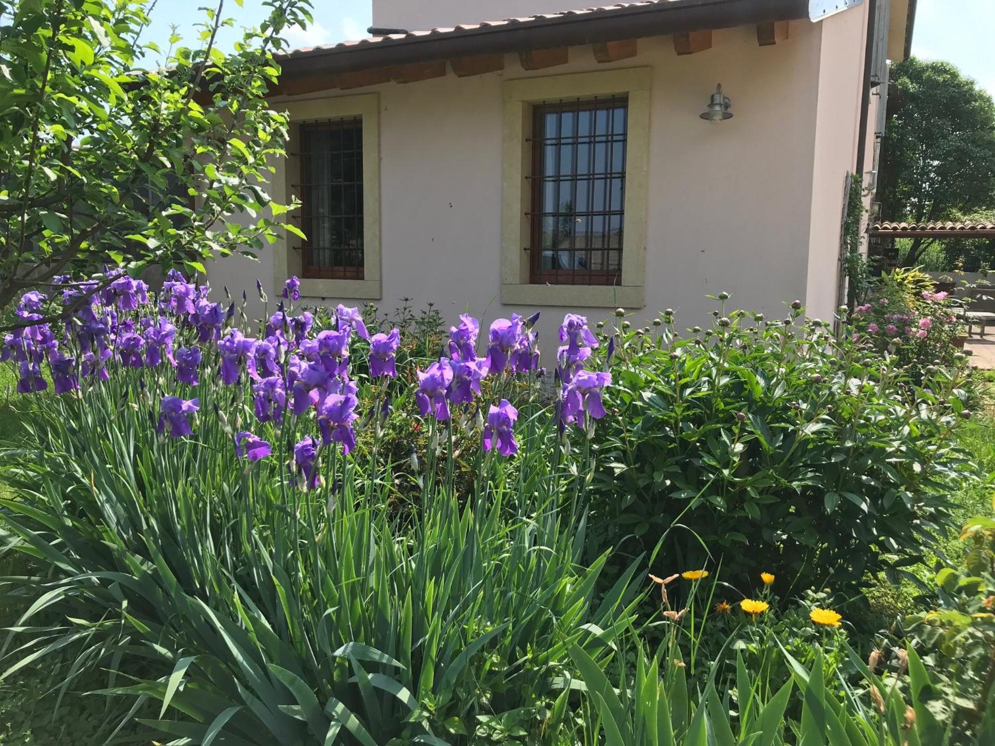 Una Casa Di Campagna Dossobuono Exterior photo